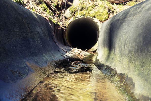 Drainage Swale Installation in Palm Harbor